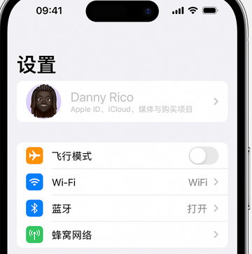 雄关区appleID维修服务iPhone设置中Apple ID显示为灰色无法使用 