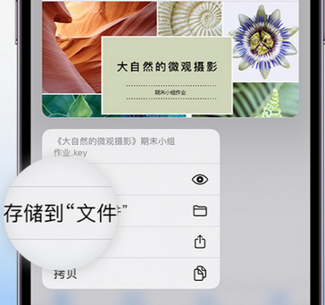 雄关区apple维修中心分享iPhone文件应用中存储和找到下载文件