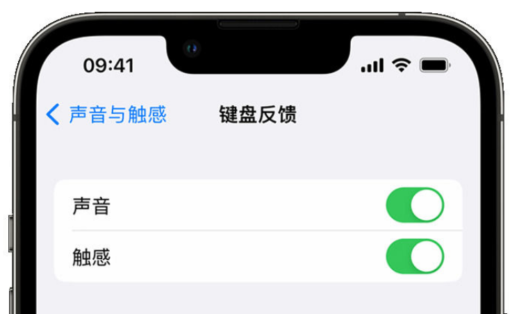 雄关区苹果手机维修分享iPhone 14触感键盘使用方法 