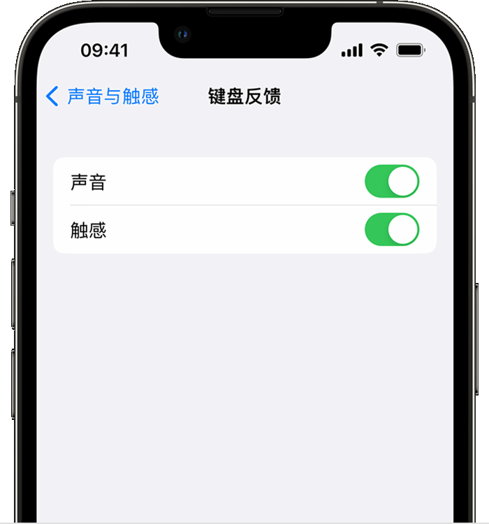 雄关区苹果14维修店分享如何在 iPhone 14 机型中使用触感键盘 