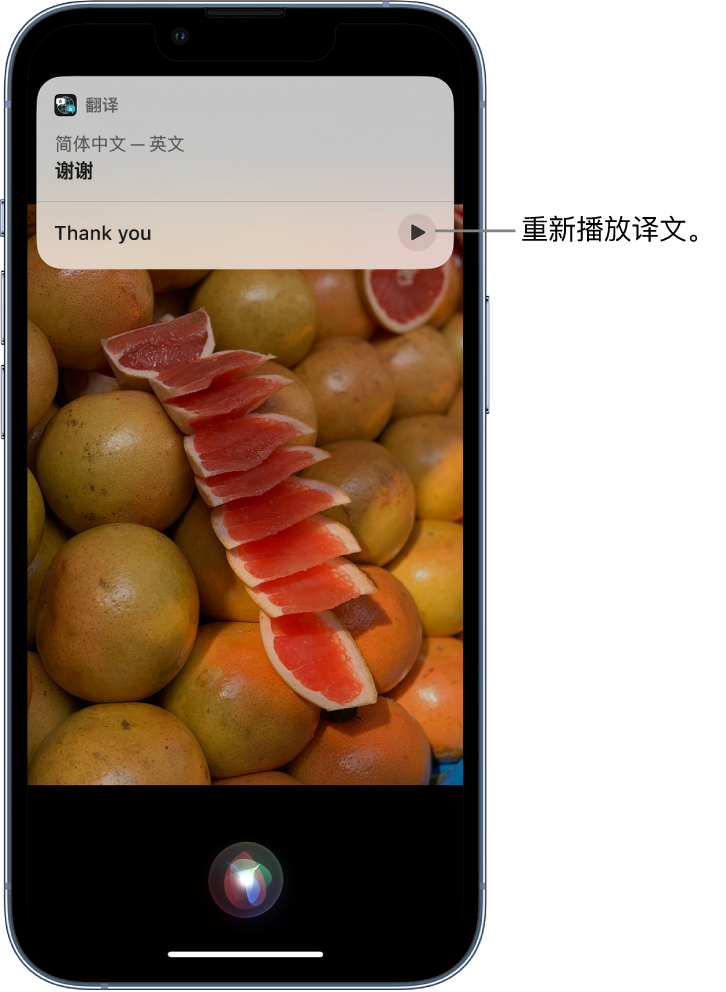 雄关区苹果14维修分享 iPhone 14 机型中使用 Siri：了解 Siri 能帮你做什么 