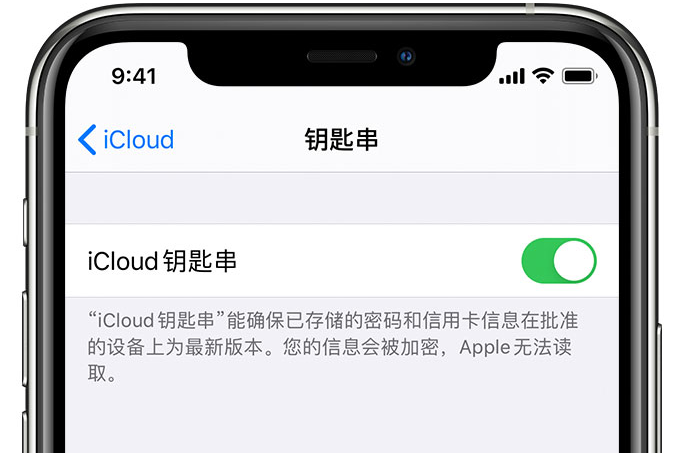 雄关区苹果手机维修分享在 iPhone 上开启 iCloud 钥匙串之后会储存哪些信息 