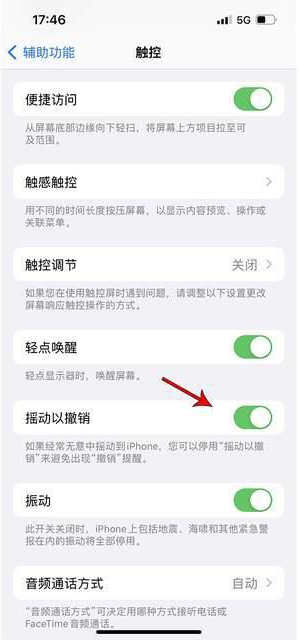 雄关区苹果手机维修分享iPhone手机如何设置摇一摇删除文字 